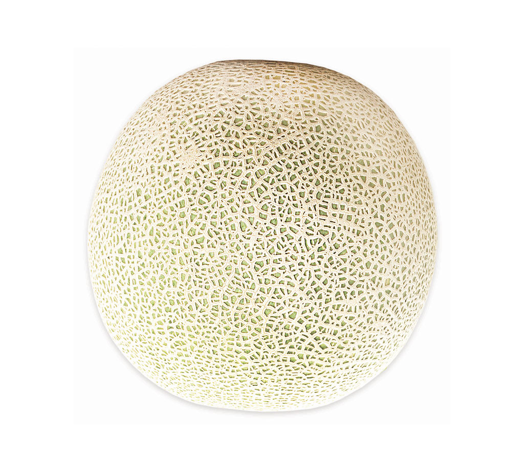 Product Image2 42