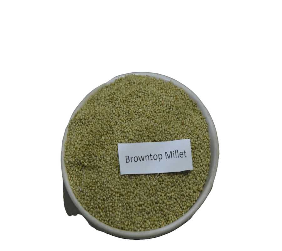 media_jpg-image_testingImg_62d91db3250e0 Browntop Millet Rice || multinutritional food || Healthy food - Image 2